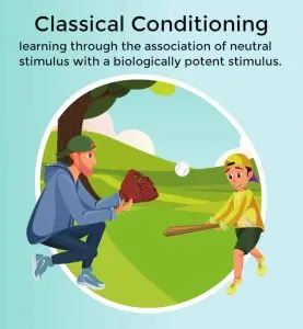 Dad and boy wear baseball caps, and play baseball in the park - classical conditioning