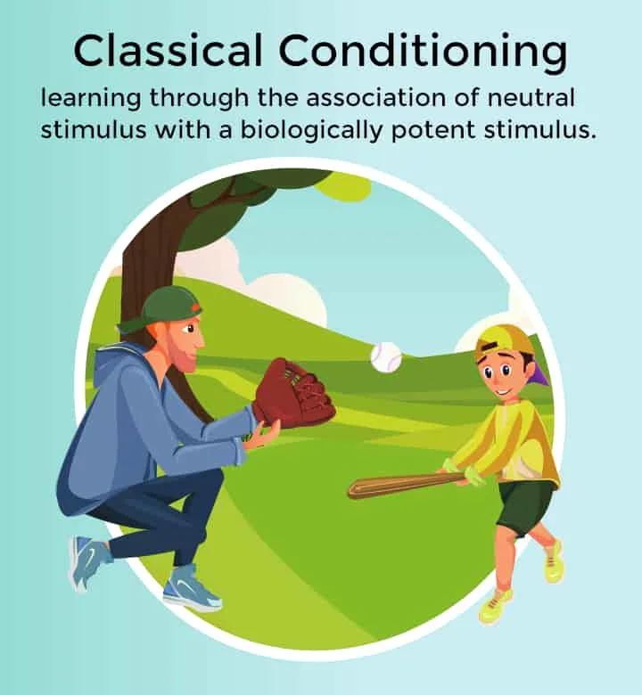 Dad and boy both wear baseball caps, and play baseball in the park. Classical conditioning definition is learning through the association of neutral stimulus and a biologically potent stimulus. This is one of the respondent conditioning examples