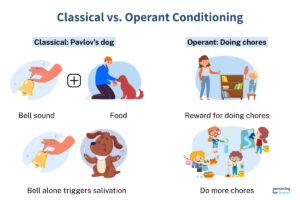 classical pavlov's dog example, operant kid doing chore example to illustrate differences and similarities