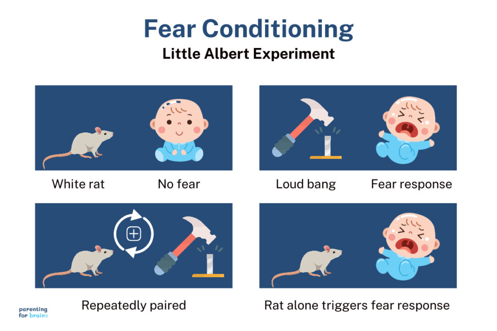 little albert experiment fear conditioning