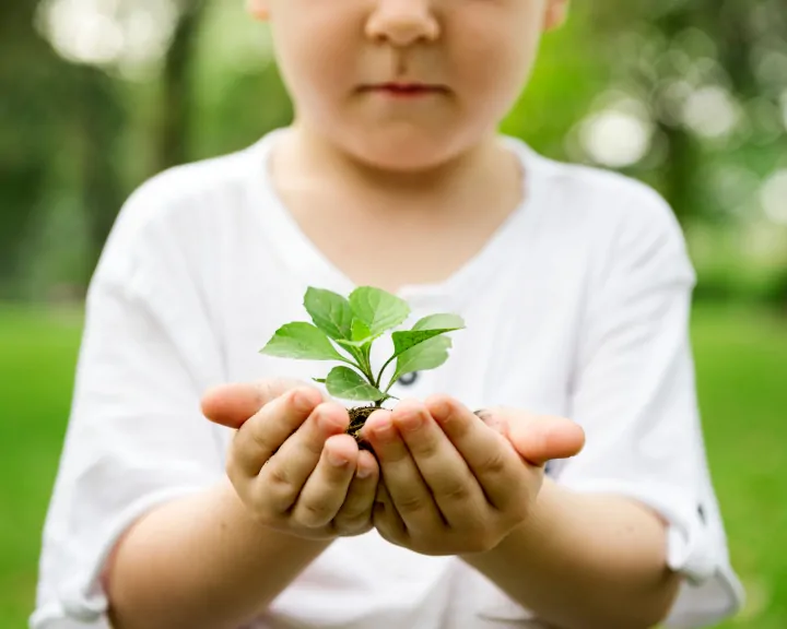 child hold a small plant in his palms - 4 parenting styles types of family rearing