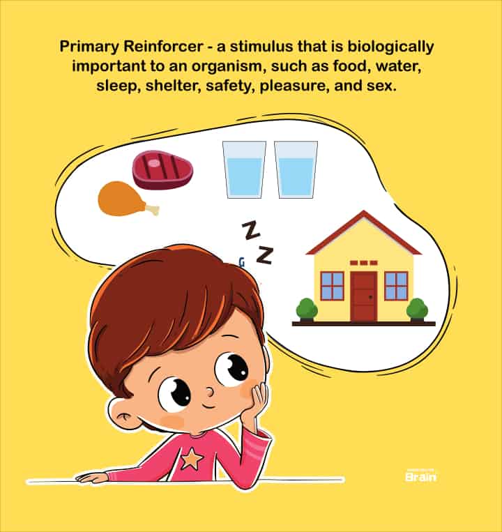A boy dreams about food, water, sleep and house. These are all primary reinforcer psychology definition