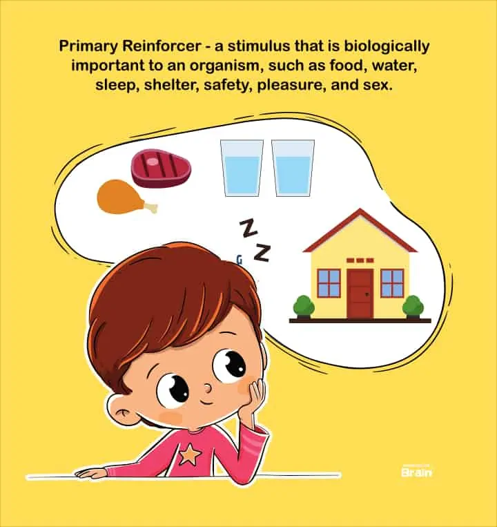 A boy dreams about food, water, sleep and house. These are all primary reinforcer psychology definition