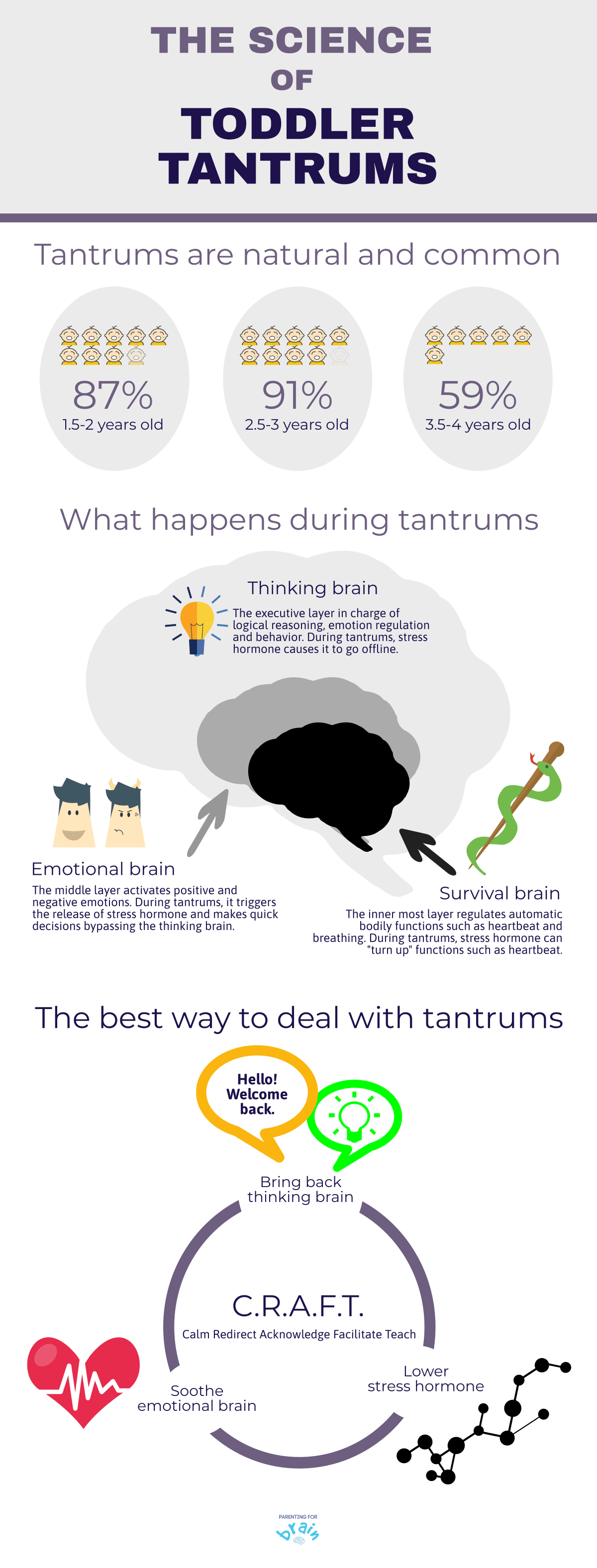 summary of the science of toddler tantrums, severe temper tantrums in 2 year-olds in this article